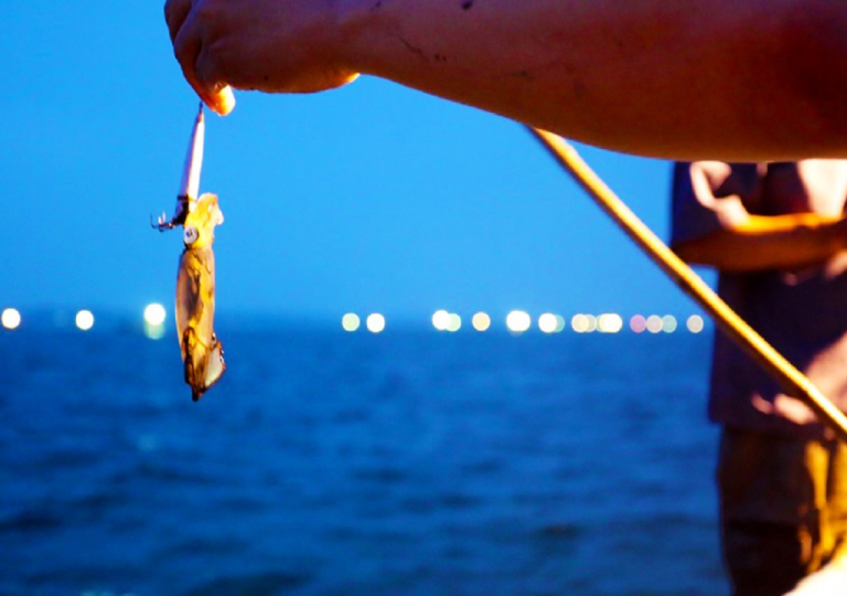 Tour câu mực đêm phú quốc